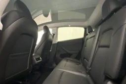 
										2022 Tesla Model Y Performance AWD 534 hp Towbar Autopilot full									