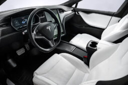
										2019 Tesla Model S P100D Ludicrous Performance Premium AWD 761hp full									