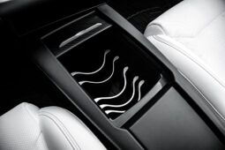 
										2019 Tesla Model S P100D Ludicrous Performance Premium AWD 761hp full									
