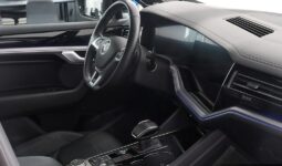 
										2019 Volkswagen Touareg 3.0 V6 TDI R-Line 4Motion Suzuka NightVision HeadUp full									